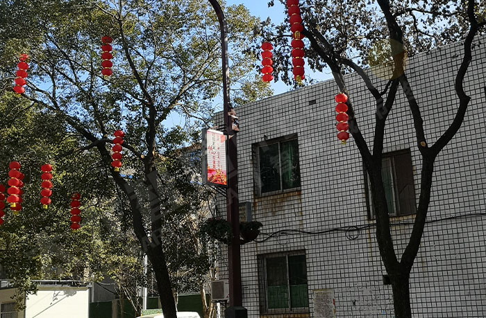 江西南昌LED燈桿屏.jpg